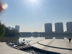 -南翔镇银翔湖公园