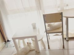 -沐沐家宠物(成寿寺店)