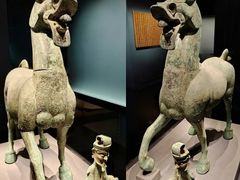 -广西壮族自治区博物馆