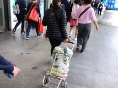 -珠海拱北口岸