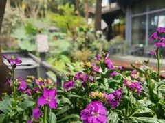 -大妙火锅·非物质文化遗产(东湖公园店)