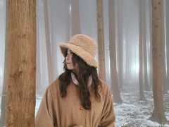 -武陵山森林公园