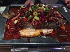 -南锣肥猫·麻辣烤鱼·16年现烤现卖(财富购物中心店)