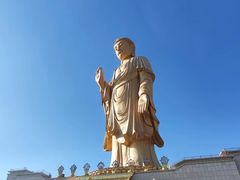 -中原大佛景区