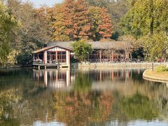 -上海共青森林公园