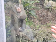 -黔灵山公园