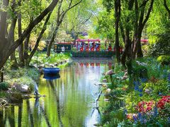 -上海共青森林公园