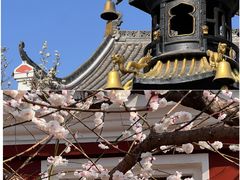 -吊水壶国家森林公园