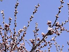 -鹫峰国家森林公园