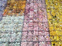 -郑在DIY·潮玩银饰绘画手作(中央大道旗舰店)
