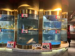 -蜀滋香鲜鱼美蛙火锅(339店)