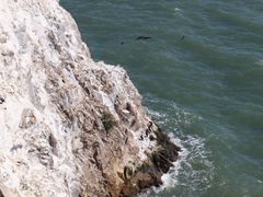 -阿尔卡特拉斯岛