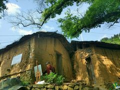 -杨家堂村
