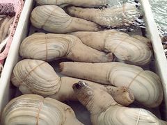 -南沙十九涌渔人码头-南门