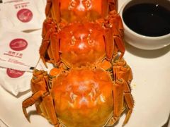 -洋洋中餐馆·SINCE 1997(龙湖星湖天街店)