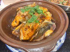 -丰食农家乐