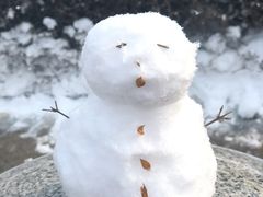 -高尔山公园