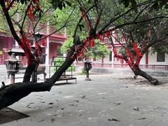-终南山古楼观历史文化景区