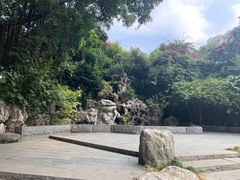 -深圳野生动物园