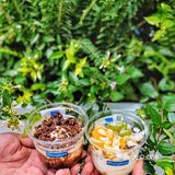 9月大胆贴秋膘 谁说减肥人不能喝酸奶