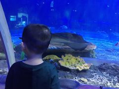 -华夏文旅海洋公园