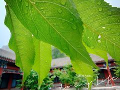 -居庸关长城