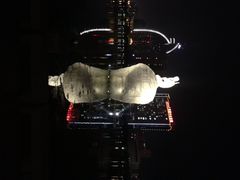 iphone_upload_pic-白鹭洲公园