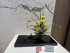 -杭州植物园