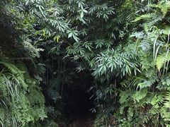 -沐川竹海旅游景区