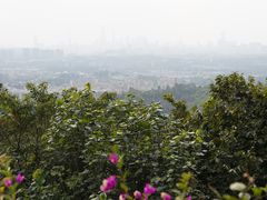 -火炉山森林公园