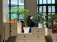 -一尺花园(安和花园店)