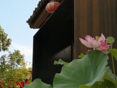 -几荷·恰似故人来(秀水广场店)