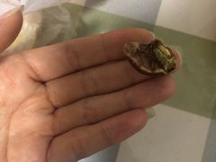 -阿男野栗王(金门路店)