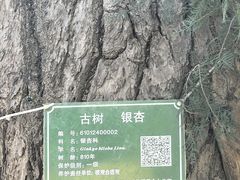 -终南山古楼观历史文化景区