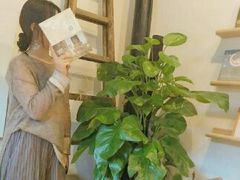 -猫的天空之城概念书店(杭州南宋御街店)