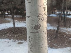 -森林公园(尖草坪区)