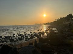 -深圳湾公园(南山区)