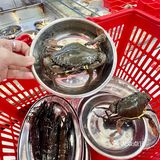 广州新开的！火锅界的萨利亚……[惊恐]3.5r起