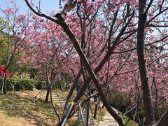 -小南山公园