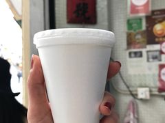 -洪馨椰子