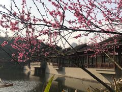 -重庆彩云湖湿地公园