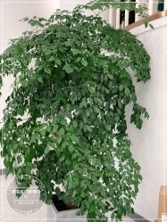 -新蝶变皮肤管理中心