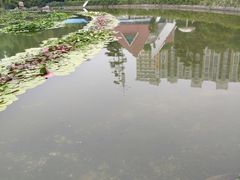 -洛阳市牡丹公园