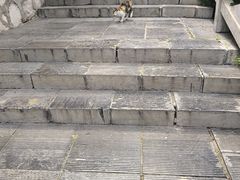 -抱犊寨风景区