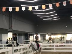 -骑乐马术(广州奥体优托邦中心)