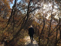 -白草畔自然风景区