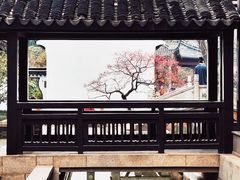 -红梅公园