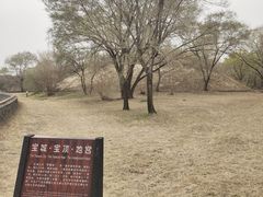 -北陵公园