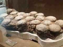 android_upload_pic-自贡恐龙博物馆