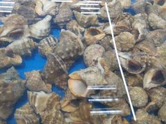 -87号烧烤海鲜·大排档(金沙滩店)